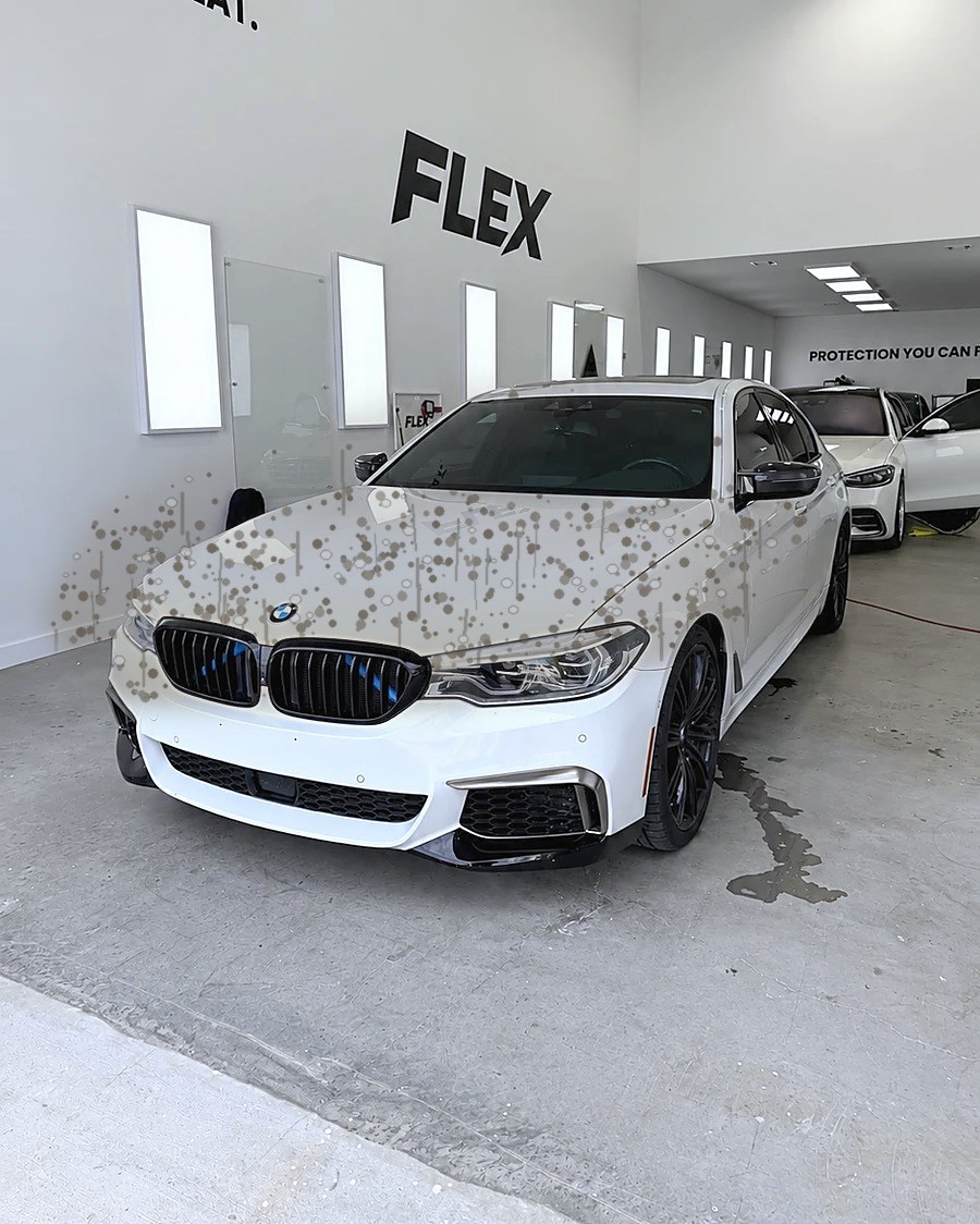 Dull paint with water spots and dust before ceramic coating